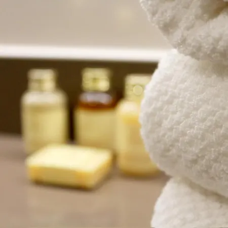 Hotel Schaluinenhoeve Baarle-Nassau