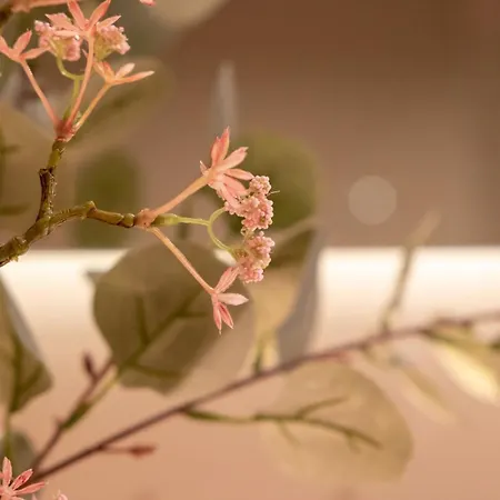 Schaluinenhoeve 2* בארלה-נוסאו