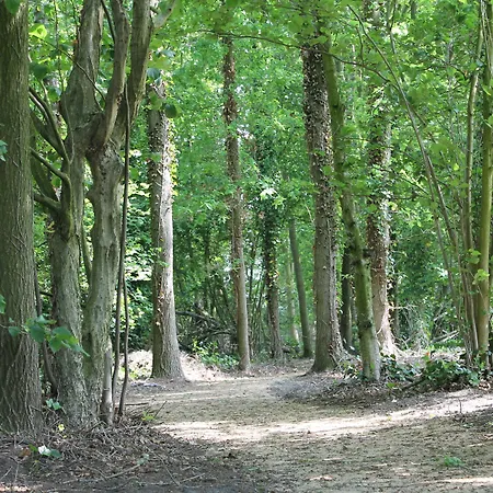 Schaluinenhoeve 2*