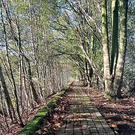Schaluinenhoeve فندق