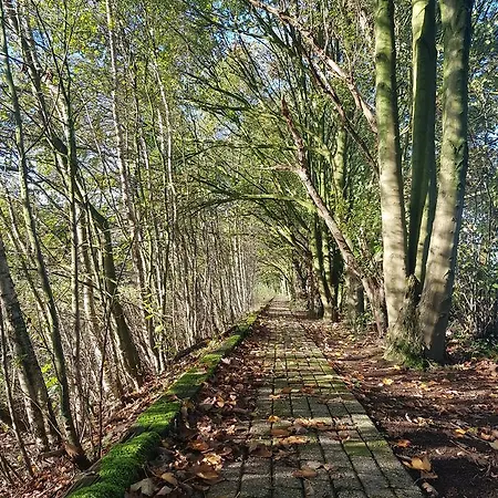 Schaluinenhoeve Hotel 2*