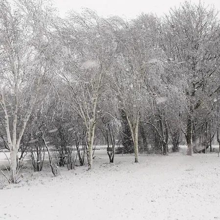 מלון Schaluinenhoeve בארלה-נוסאו