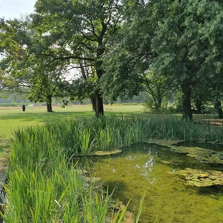 Schaluinenhoeve 2* בארלה-נוסאו