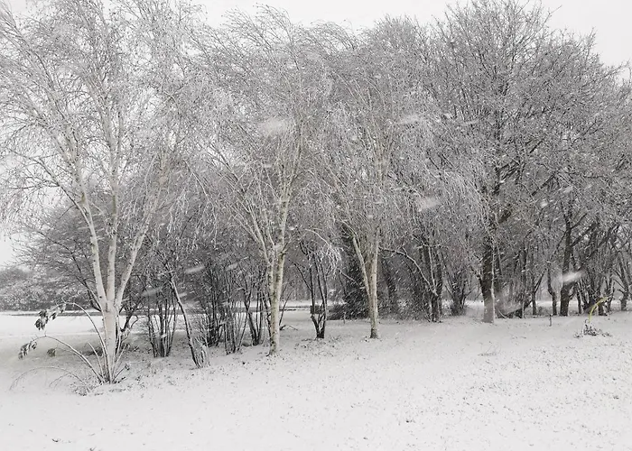 Ξενοδοχείο Schaluinenhoeve Baarle-Nassau