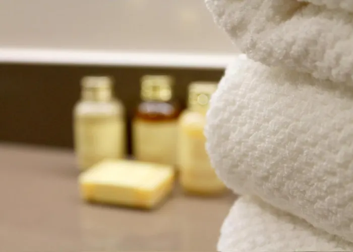 Отель Schaluinenhoeve Барле-Нассау