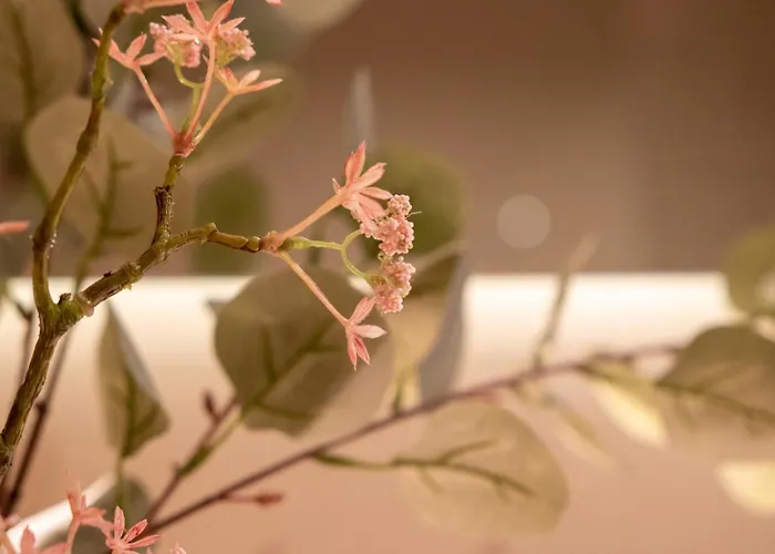 Schaluinenhoeve 2* Барле-Нассау