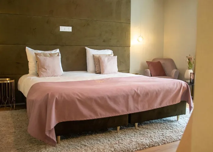 Отель Schaluinenhoeve 2*