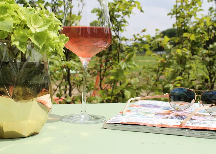 Schaluinenhoeve Барле-Нассау