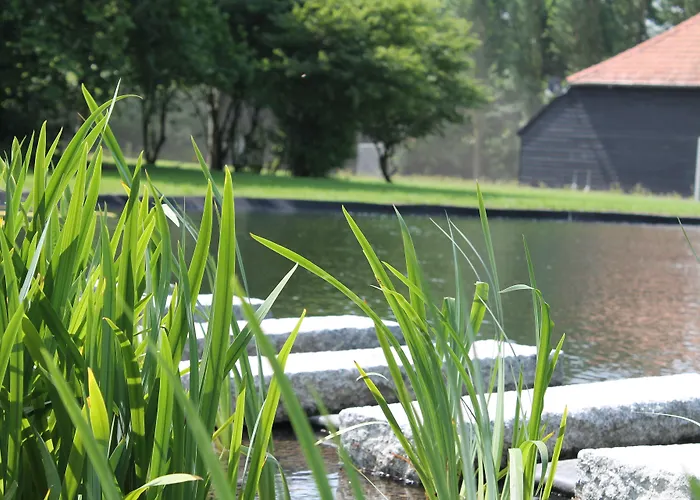 Schaluinenhoeve Отель 2*