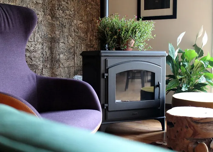 Отель Schaluinenhoeve Барле-Нассау