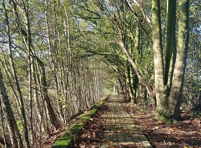 Schaluinenhoeve Отель 2*