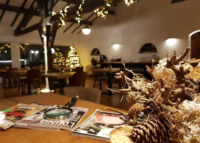 Schaluinenhoeve Барле-Нассау